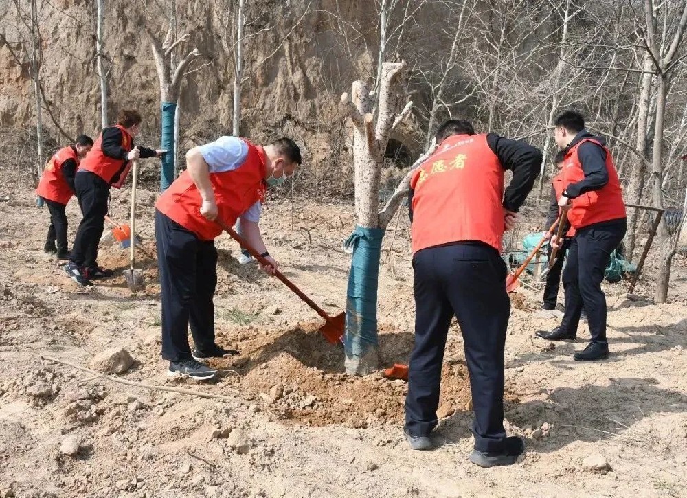 【精神文明建設(shè)】義務(wù)植樹添新綠，文明實(shí)踐樹新風(fēng)│鄭投產(chǎn)業(yè)園公司聯(lián)合馬寨社區(qū)開展義務(wù)植樹活動(dòng)