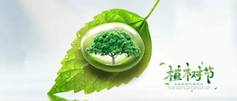 【精神文明建設】不負好春光 植樹添新綠│鄭投產業園組織開展植樹活動